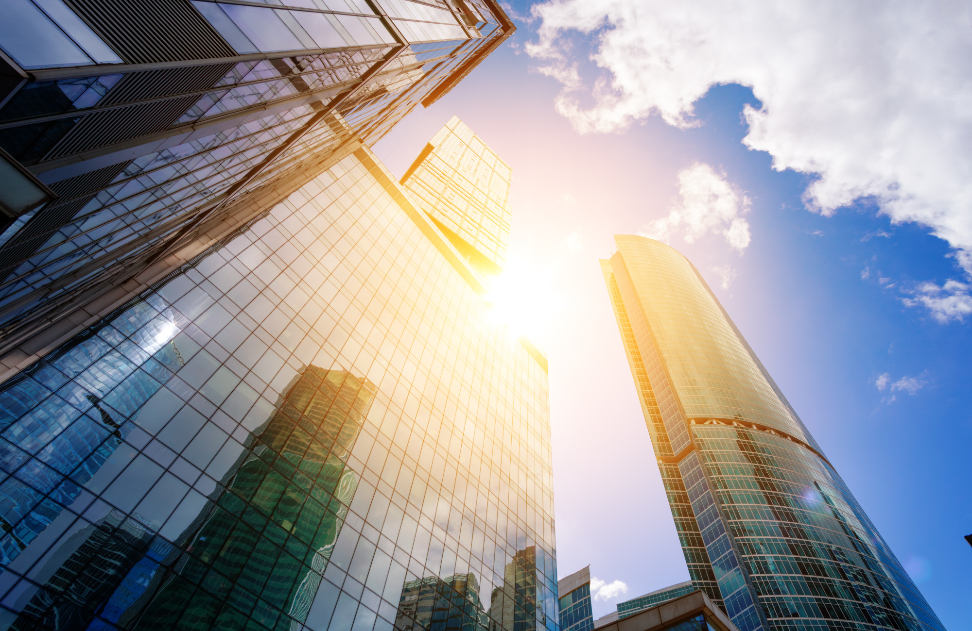 Corporate Occupier Services Diversified Partner